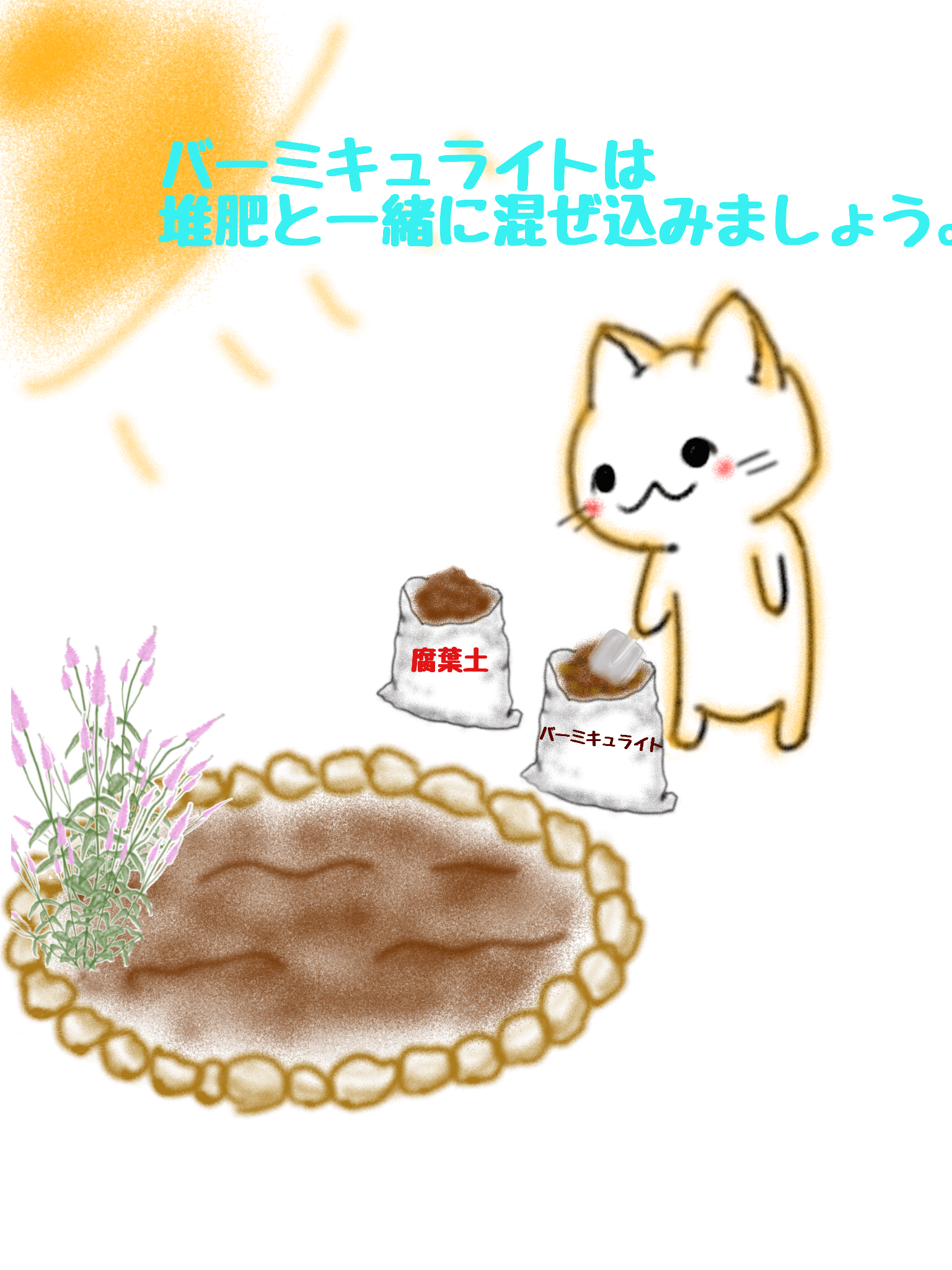 バーミキュライトの使い方 Beginners Garden