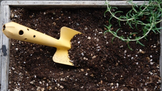 プランターの土の作り方や鉢の選び方 プランター植物の管理方法 Beginners Garden