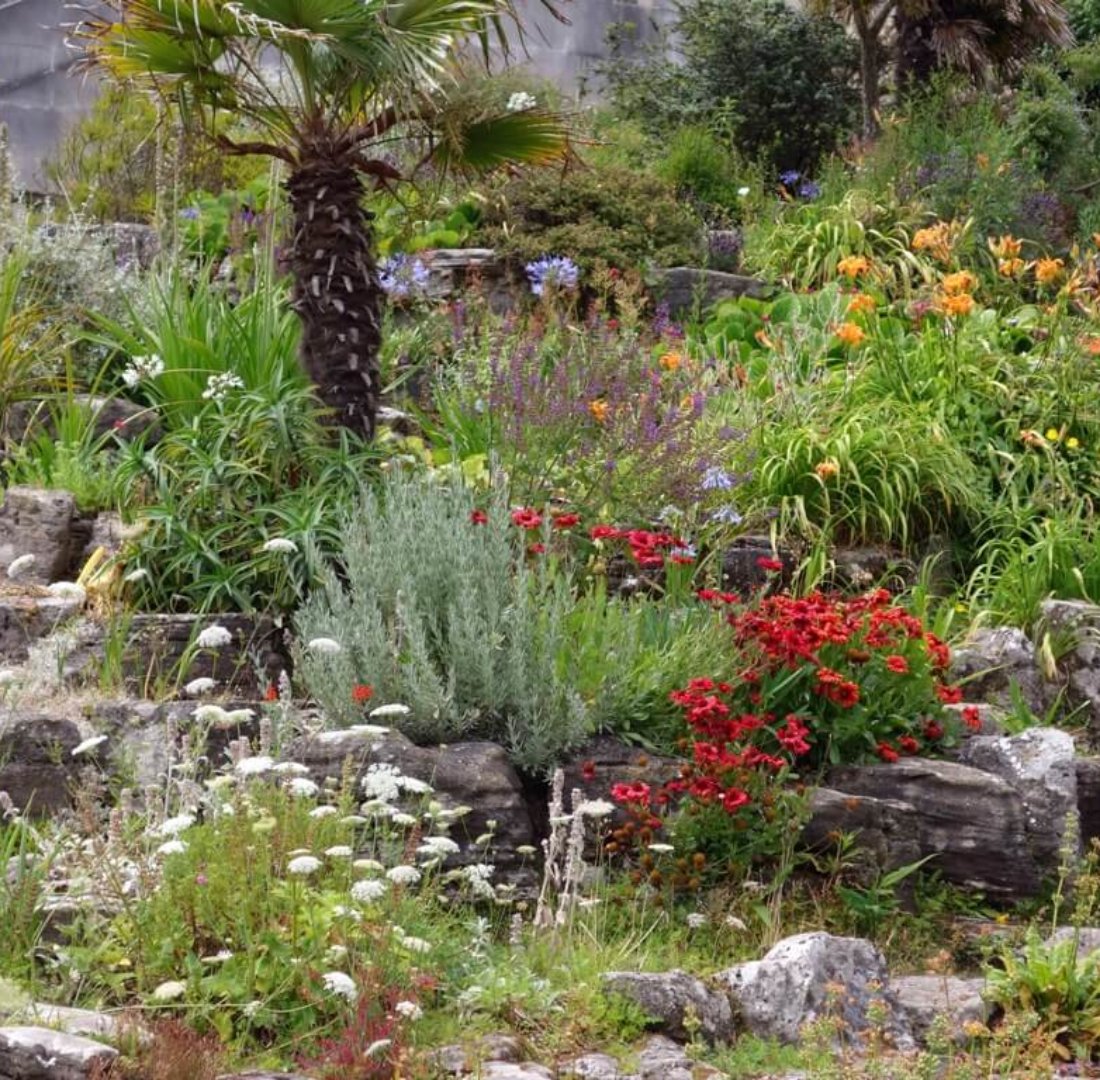 花壇のデザイン15種と庭にあった花壇を選ぶ方法 Beginners Garden