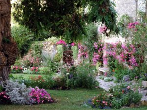 おすすめの多年草や低木を雰囲気や特徴 開花期間等にわけて紹介 2nd Home Beginners Garden