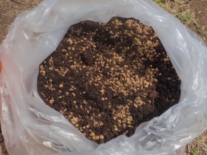 袋の中で赤玉土と腐葉土を混ぜる