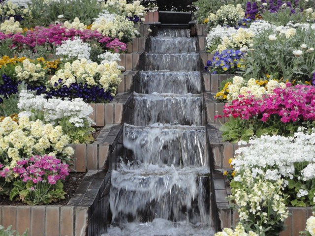 ステップガーデン